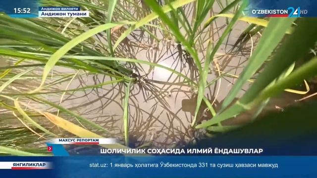 Махсус репортаж | Шоличилик соҳасида илмий ёндашувлар смотреть онлайн