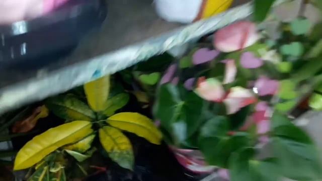 Мадраса мондум бачачонома😘Уборка дар Ошхона😘Харид😘