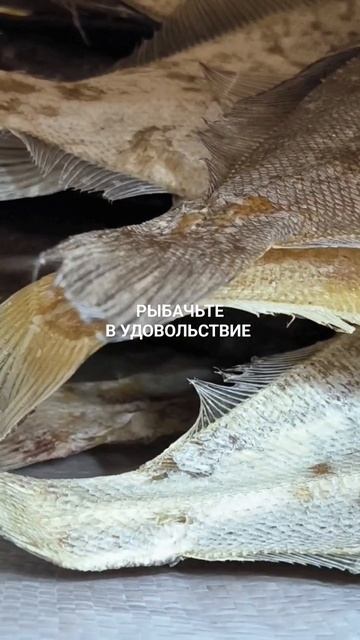 Вяленый ёрш распространяю по регионам России.