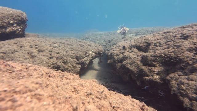 Alanya, Underwater Photography In Turkey.    Аланья ,подводные съёмки .