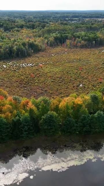 Музыка Сергея Чекалина, красивая природа, релакс, водопад, музыка для души #3#shorts