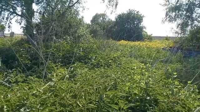 7 дней КоПа на деревне (День1) смотреть онлайн