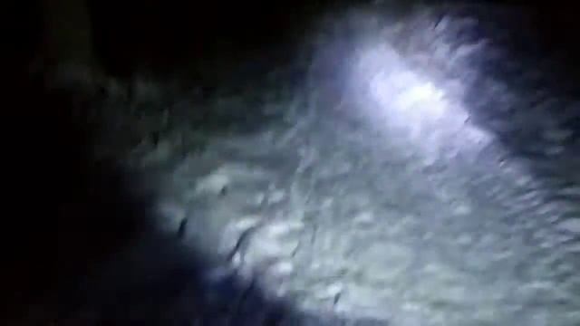 Зимний лес ночью смотреть онлайн