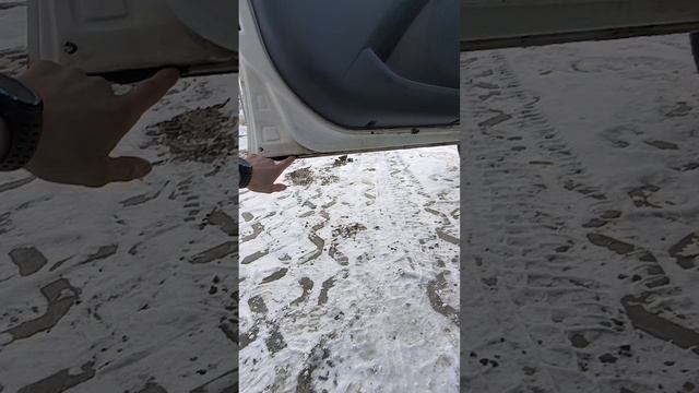 обзор гранта