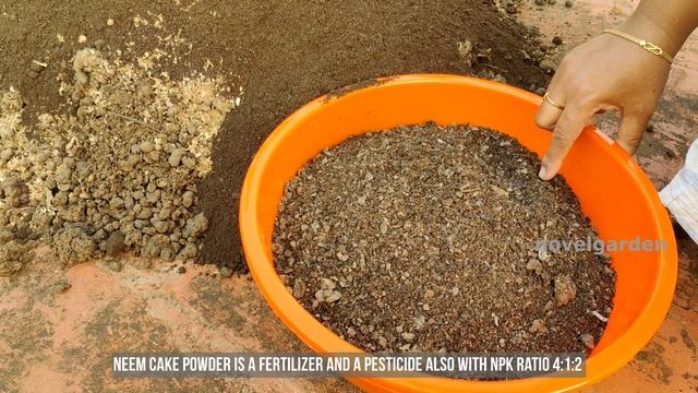 Secret Growth Fertilizer for Permanent Flowering Plants | ചെടി തഴച്ച് വളരാൻ ഒരു അടിപൊളി വളം смотреть онлайн