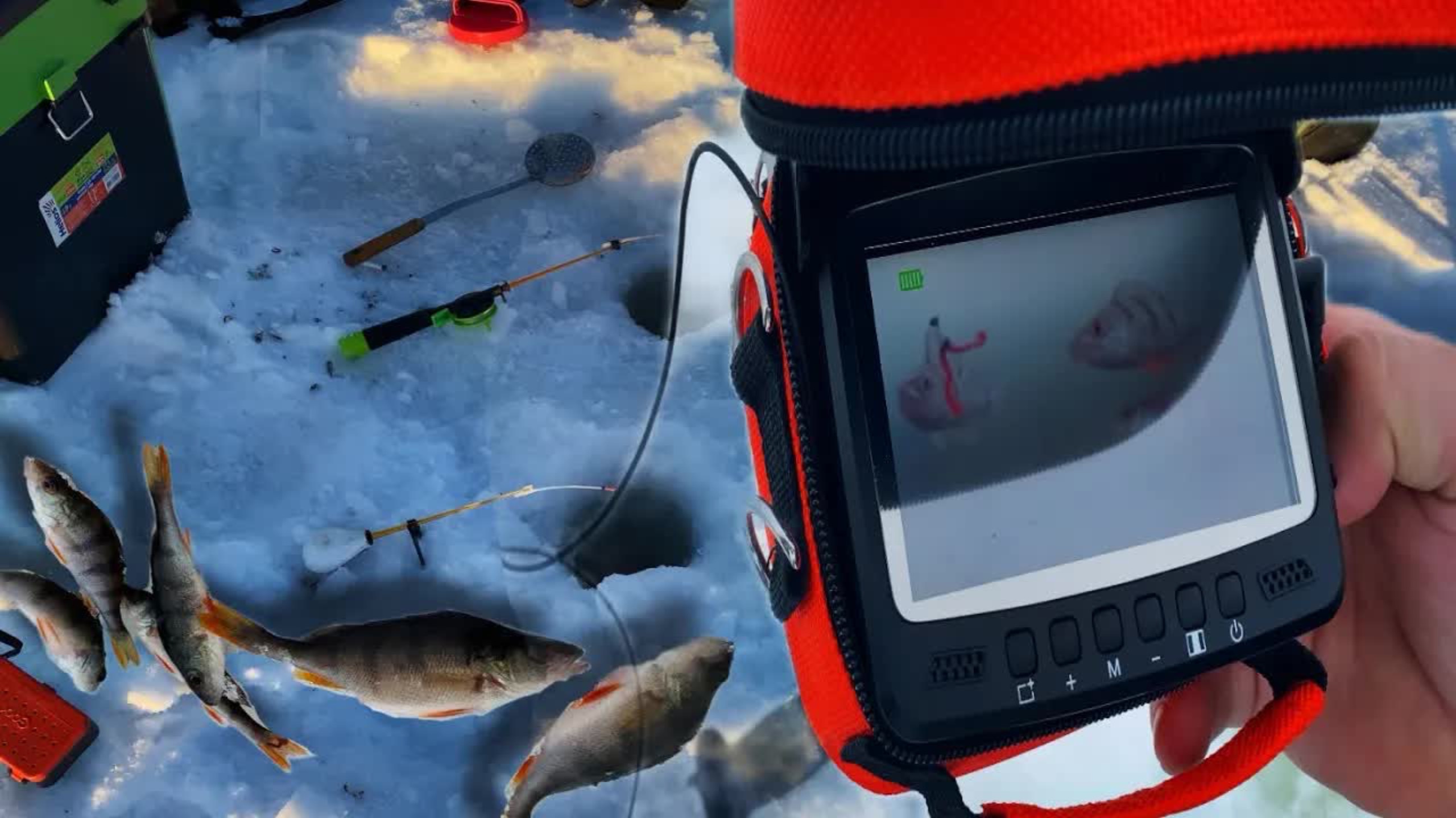 ГДЕ ИСКАТЬ РЫБУ?ОБОШЛИ ВЕСЬ ВОДОЕМ,но все таки мы ее НАШЛИ!!!РЫБАЛКА С ДЕШЕВОЙ ПОДВОДНОЙ КАМЕРОЙ! смотреть онлайн