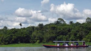 Amazon River Journey