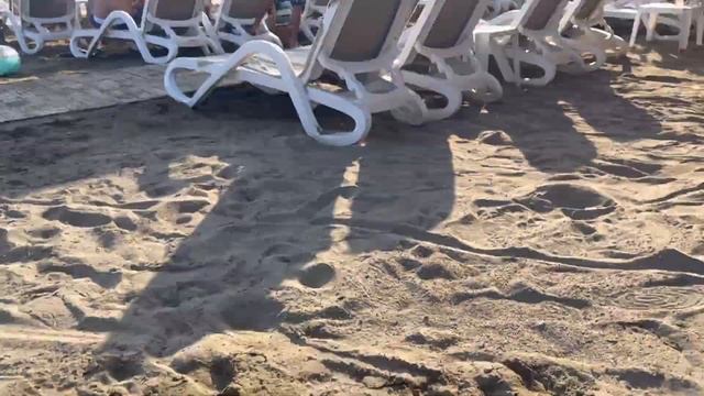 Haydarpasha Palace Hotel /5 Star Resort In Alanya Antalya  Turkey