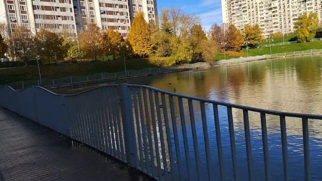 Малый Чертановский пруд (Чертаново Северное, Москва) смотреть онлайн