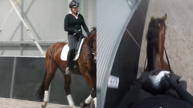 HOW DO I STOP MY HORSE GOING FASTER INTO THE HORSE IN FRONT? - Dressage Mastery TV Episode 102 смотреть онлайн