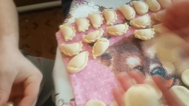 ПРИЕХАЛИ ГОСТИ. ЗАСТРЯЛИ В СУГРОБЕ. Деревенские будни!