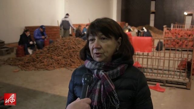 Уборка урожая работниками администрации