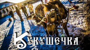 КУКУШЕЧКА | КОЛЕНКОРЪ