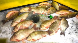 ОГРОМНЫЕ КАРАСИ МОНСТРЫ!! ОНИ КАК ЛОПАТЫ!! ЗИМНЯЯ РЫБАЛКА НА КАРАСЯ