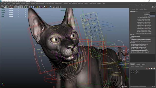 Sphynx cat maya rig video demo смотреть онлайн