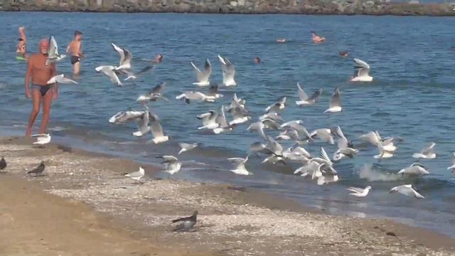 Одесса, лето, пляж / Odessa, Summer, Beach смотреть онлайн