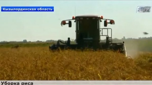 Video 2015 03 01 00189 wmv Уборка риса