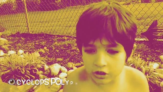 🦋Butterfly Or Polyphemus Moth🦋❓ смотреть онлайн