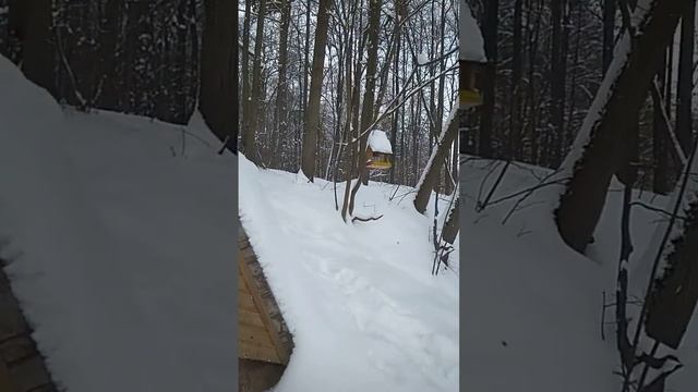Суханово"Усадьба Волконских", родник. смотреть онлайн