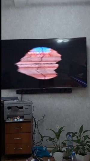 Кози сигма😚