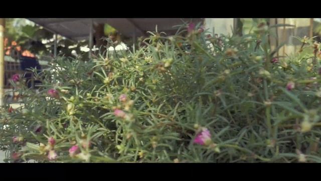 Lumix g7, len kit 14-42 , gimbal weebill s #tungho #lumix #weebills смотреть онлайн