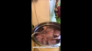 Почему необходимо озонировать рыбу и мясо?