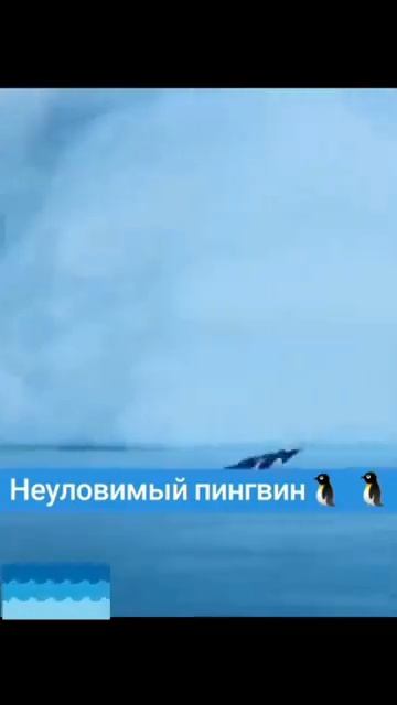 Отчаянный Неуловимый Пингвин смотреть онлайн