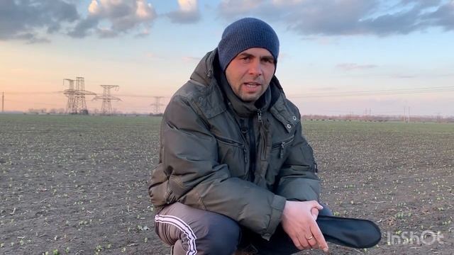 5 апреля 2021. Начало обработки озимого рапса и озимой пшеницы, обследование зернового гороха.