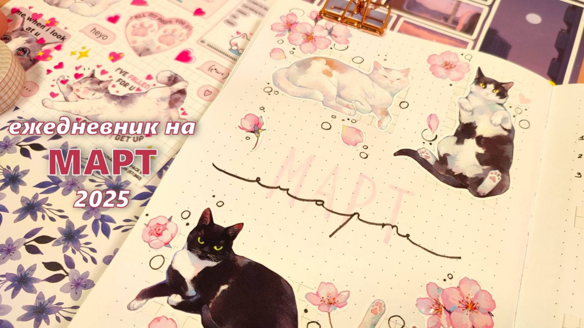 Как я веду ежедневник |🌸🐈МАРТ 2025 оформление ежедневника 🐈🌸|