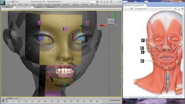 3DS Max and CAT facial bone rigging for games tutorial Part 2.1 смотреть онлайн