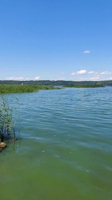 О! Красота родного края...#лето #красота #жара смотреть онлайн