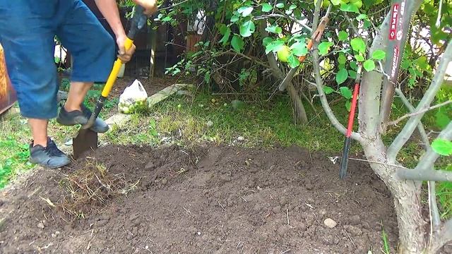 Розовый Алмаз в земле. смотреть онлайн