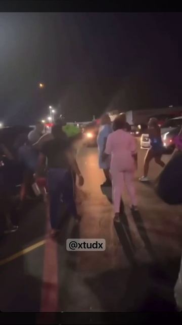 самец раздал бегемотихам