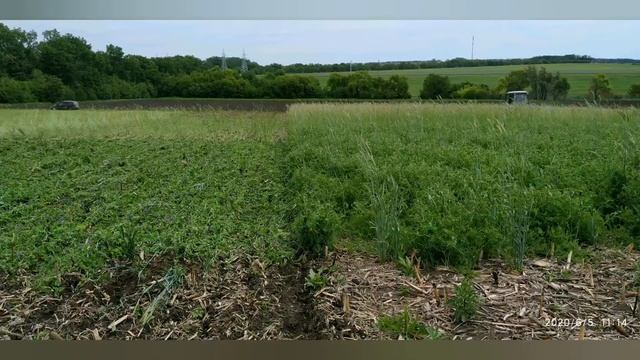 Organic No-till смотреть онлайн