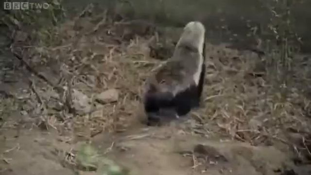 5 мая 2017 г. смотреть онлайн