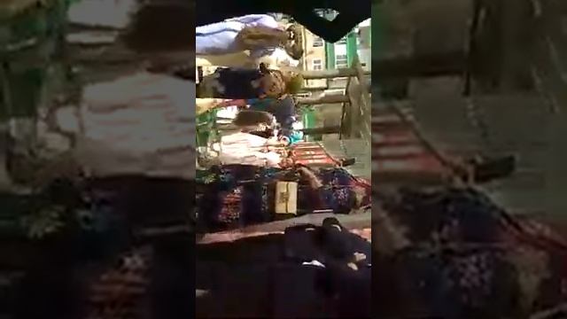 Свадьба Салатовых смотреть онлайн