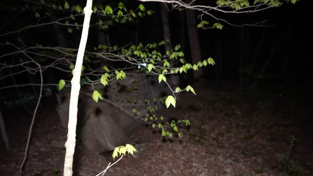 My TERRIFYING Camping Trip - The Most Scared Ive Ever Been While Camping | MOST HAUNTED FOREST