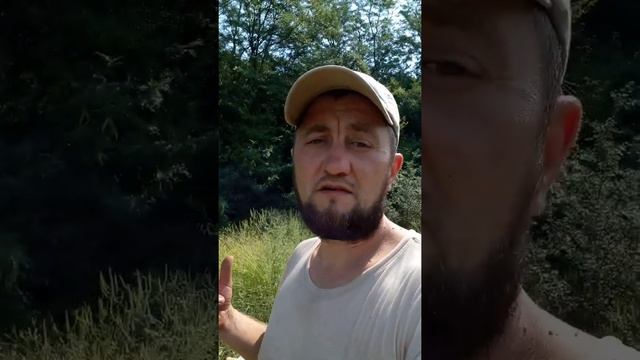 #Кукуруза работа над #ошибками смотреть онлайн