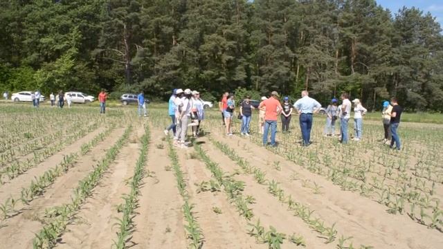 Crop Tour от Kusto Agro: зачем офис вывозить в поле? смотреть онлайн