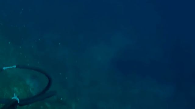 συναγριδα 1 1 смотреть онлайн