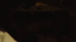 Жуткий храп в поезде