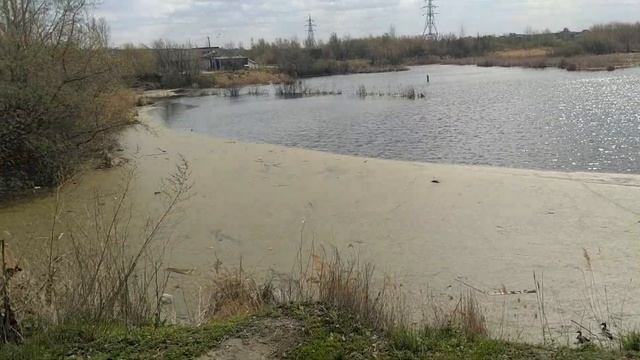 Пруд с утками. смотреть онлайн