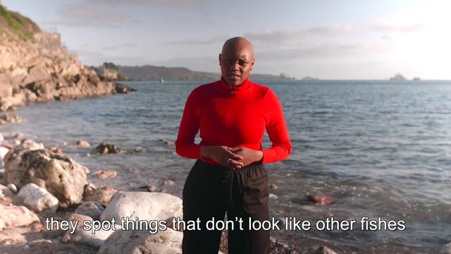 'Me and the 3 Fishy's': Shaday, Boat Poet смотреть онлайн