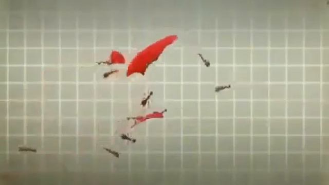 Documentary film | National Geographic| the strangest animals in the world | wildlife смотреть онлайн