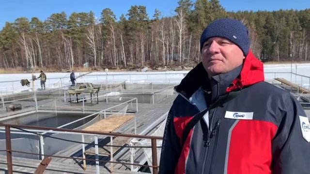 Весенняя Бонитировка РМС ООО "СИБРЫБПРОМ" смотреть онлайн