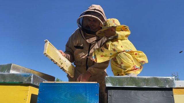Скоро будемо відкачувати акацію смотреть онлайн