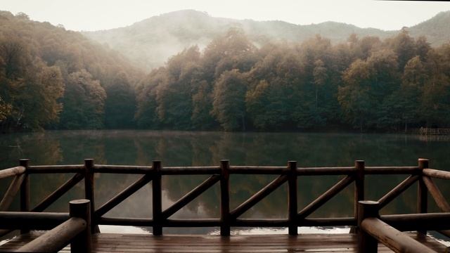 Звуки води, Природи, Спів птахів, для релаксації, - Aurora Rochez - Relaxing Ambient Soundscapes смотреть онлайн