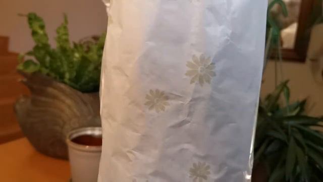 HOYA WAYETII & CARNOSA KRIMSON QUEEN HAUL смотреть онлайн