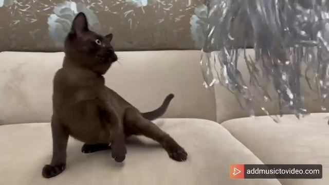 Ингрид смотреть онлайн