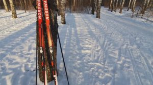 ЛЫЖИ NORDWAY XC COMBI СПОРТМАСТЕР ОБЗОР ТЕСТ ДРАЙВ САМЫЕ ДЕШЕВЫЕ ЛЫЖИ